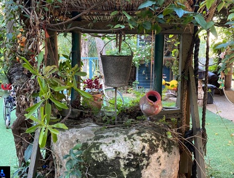 Сезонная экскурсия - ШОПИНГ-ТУР В ДЕРЕВНЮ ЯРКА И САДЫ БЕССМЕРТИЯ - 20/12